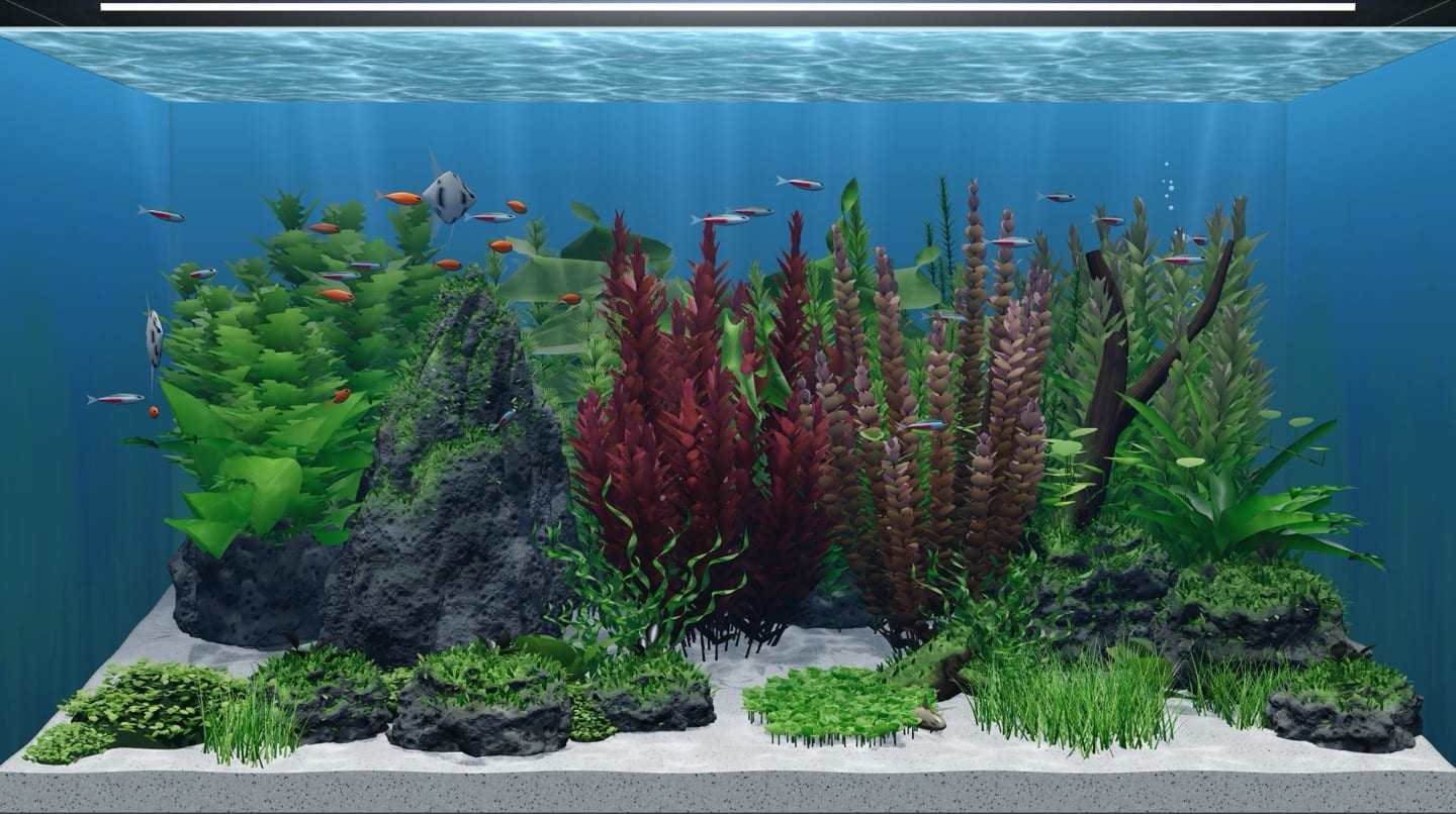 Simulasi aquascape dengan CO2 setelah 6 bulan: karpet Monte Carlo menutup rapat