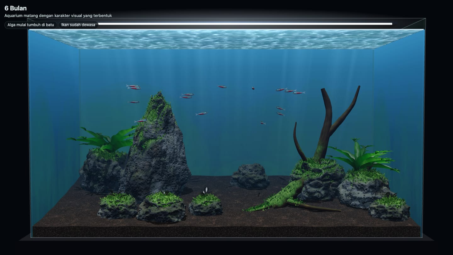 Simulasi batu aquascape setelah 6 bulan: moss dan Java fern menempel di batu lava dan kayu, tanpa CO2, dengan ikan neon tetra