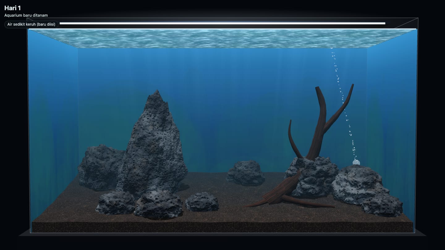 Simulasi hardscape aquascape: driftwood dipadukan dengan susunan batu lava di atas aquasoil, hari pertama