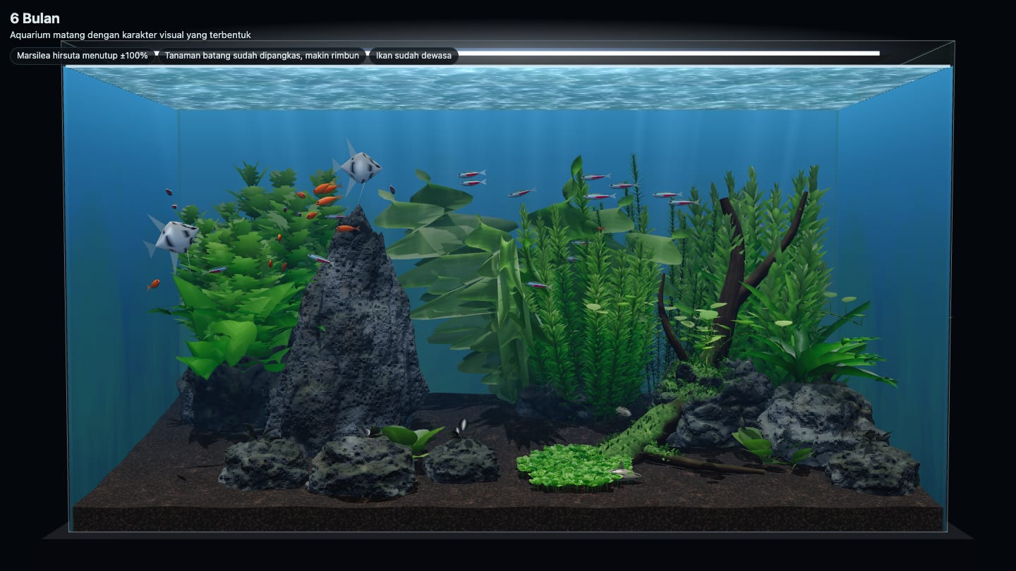 Tanaman aquascape tanpa CO2 setelah 6 bulan di simulasi: Amazon Sword, Aponogeton, tanaman batang, Java fern, dan karpet Marsilea hirsuta