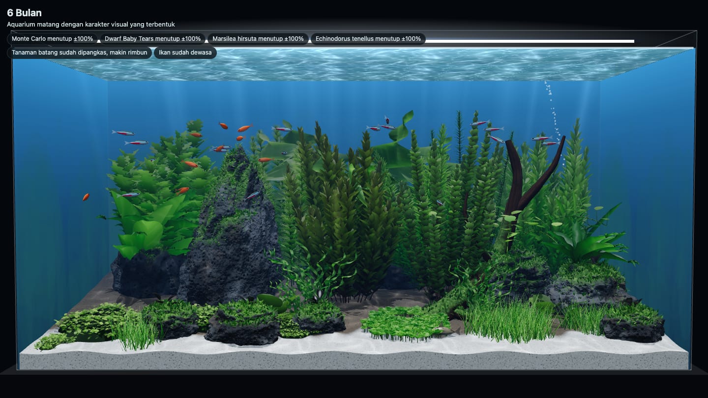 Ukuran akuarium aquascape besar 100×45×50 cm (±210 liter) di simulasi setelah 6 bulan, dengan kawanan neon tetra dan ember tetra
