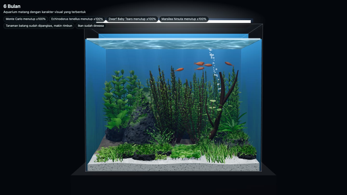 Ukuran akuarium aquascape kecil 30×20×25 cm (±13 liter) di simulasi setelah 6 bulan, penuh tanaman dengan 6 ember tetra