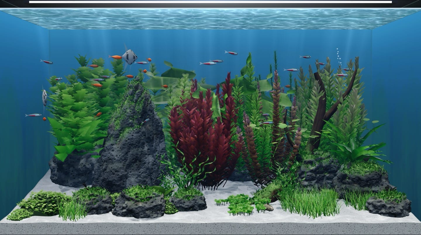 Simulasi aquascape tahap 3 Bulan: ekosistem mapan