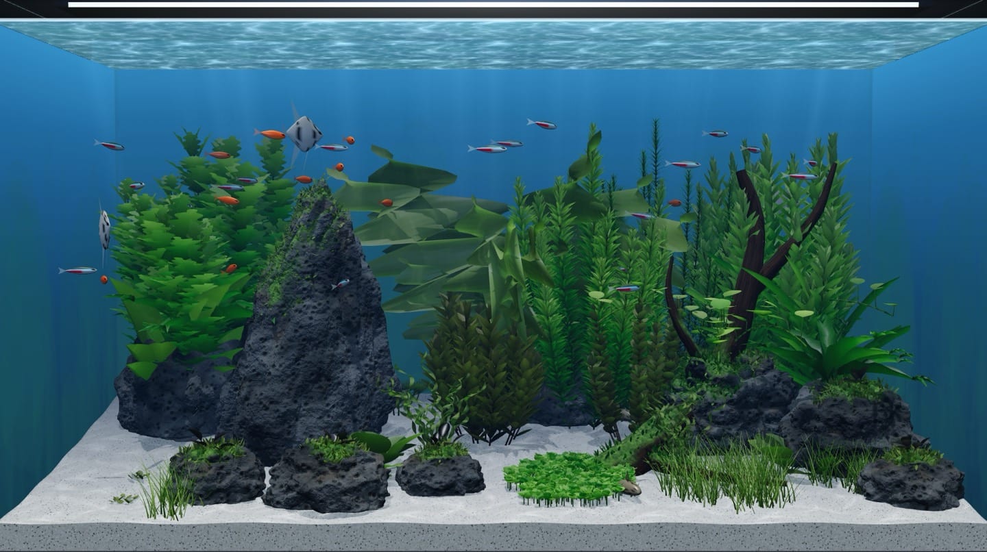 Aquascape setelah 6 bulan dengan Tanpa CO₂ · cahaya rendah