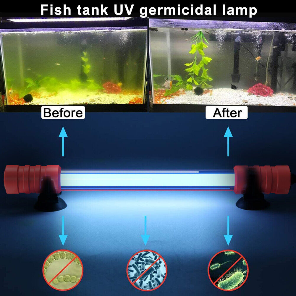 Fungsi Lampu UV Untuk Aquarium Ikan Hias